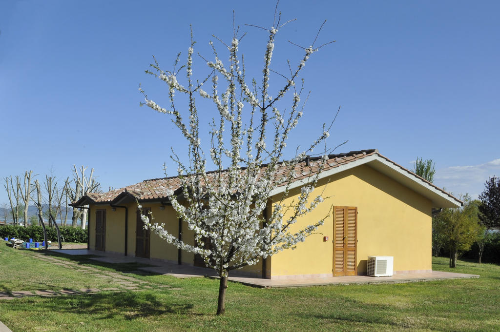 Le Macerine
